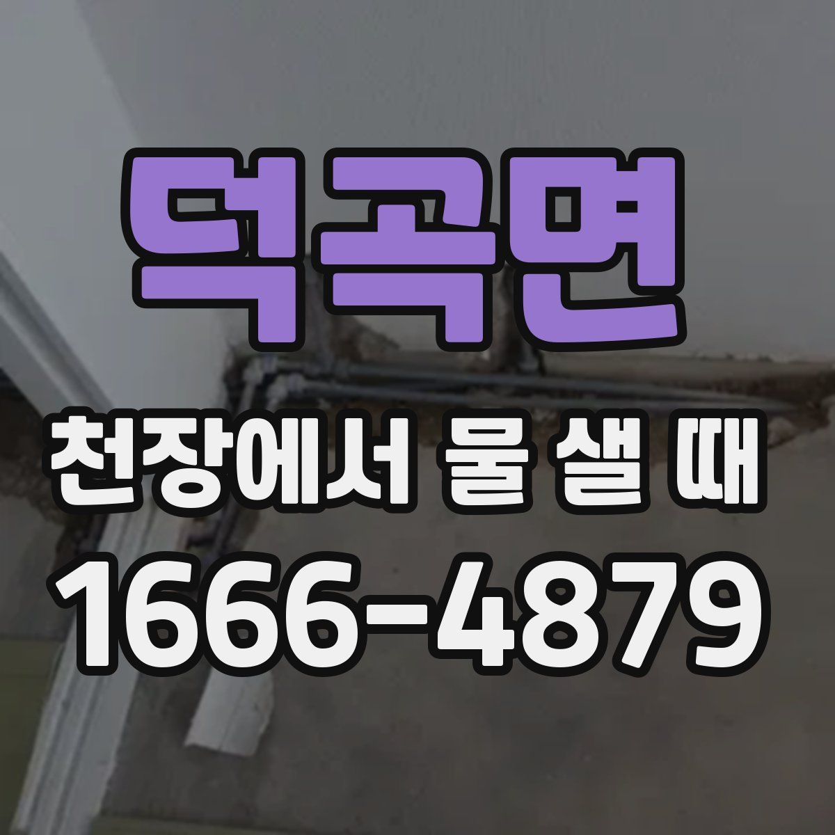 덕곡면 천장에서 물 샐 때