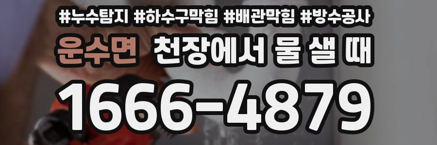 운수면 천장에서 물 샐 때
