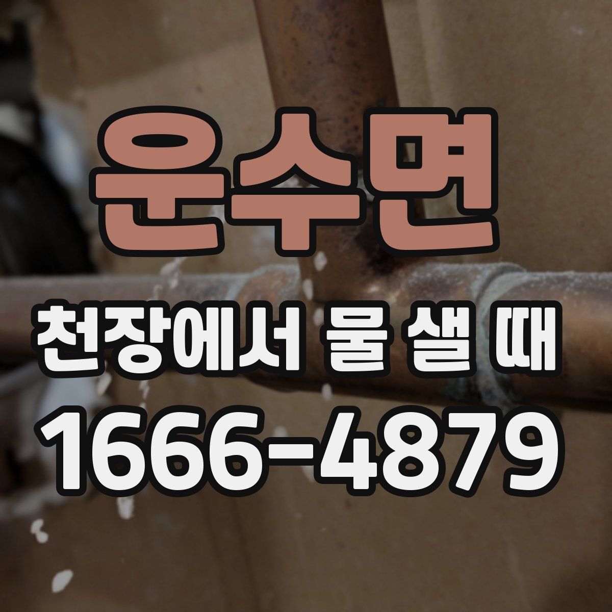 운수면 천장에서 물 샐 때