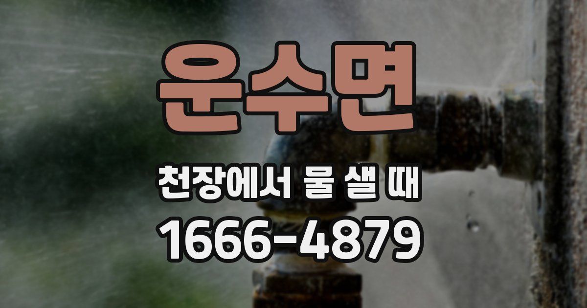 운수면 천장에서 물 샐 때