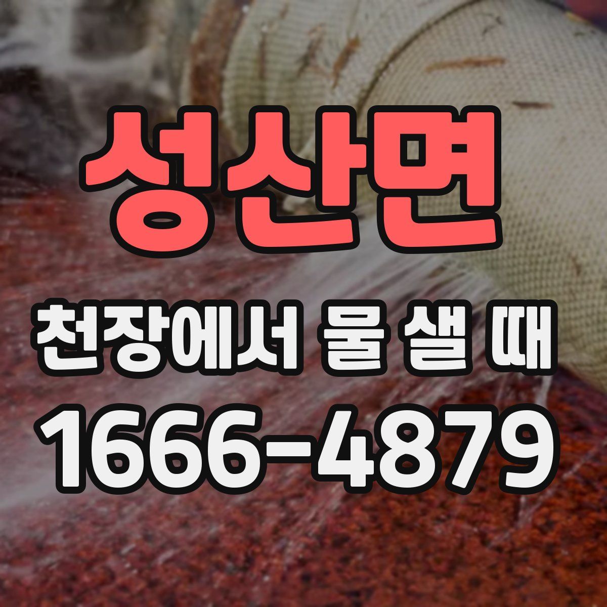 성산면 천장에서 물 샐 때