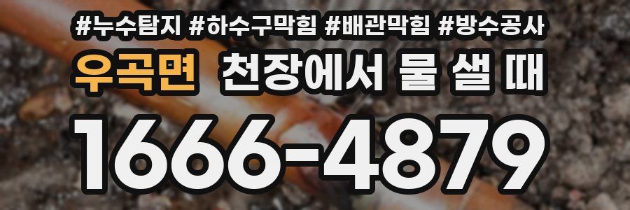 우곡면 천장에서 물 샐 때