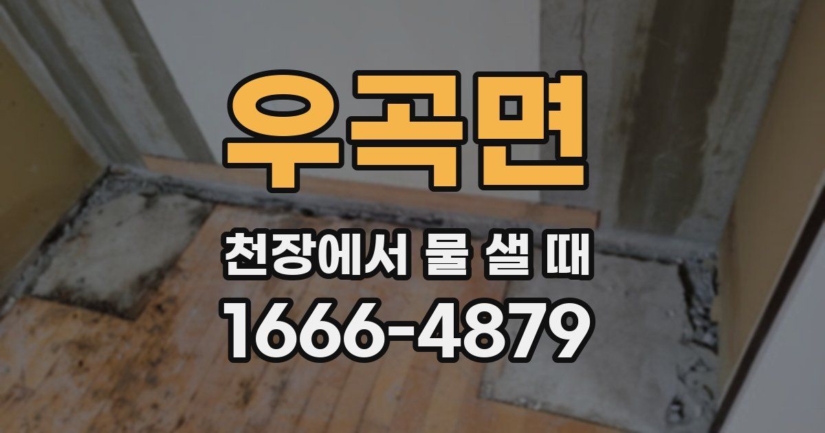 우곡면 천장에서 물 샐 때