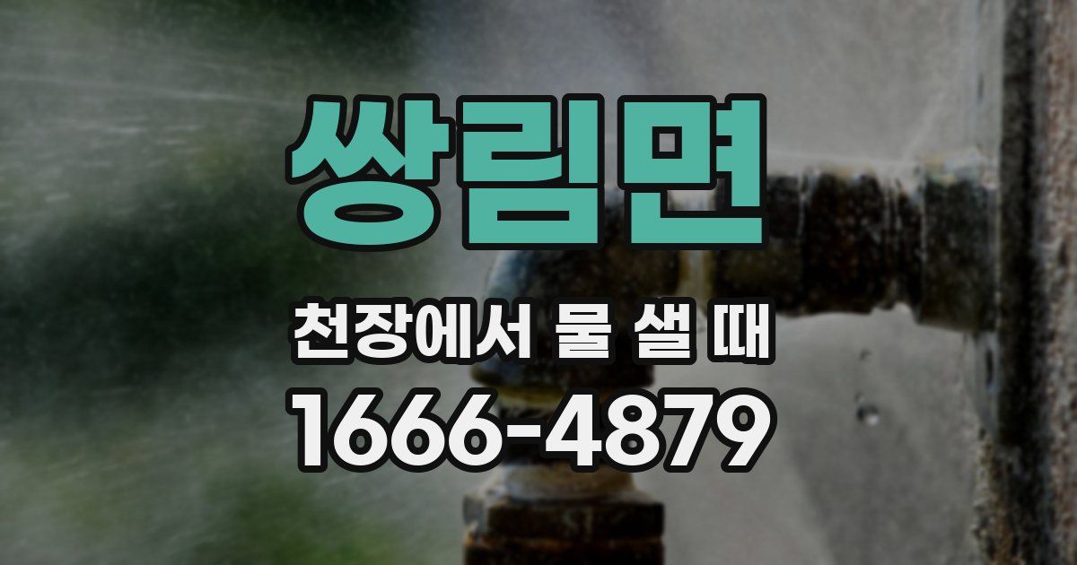 쌍림면 천장에서 물 샐 때