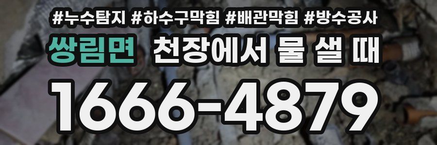 쌍림면 천장에서 물 샐 때