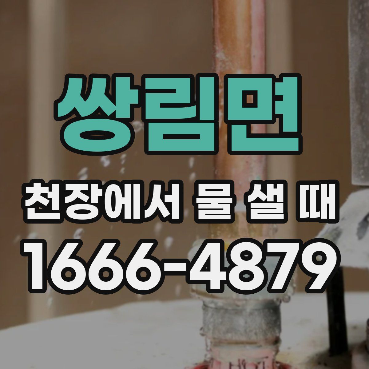 쌍림면 천장에서 물 샐 때