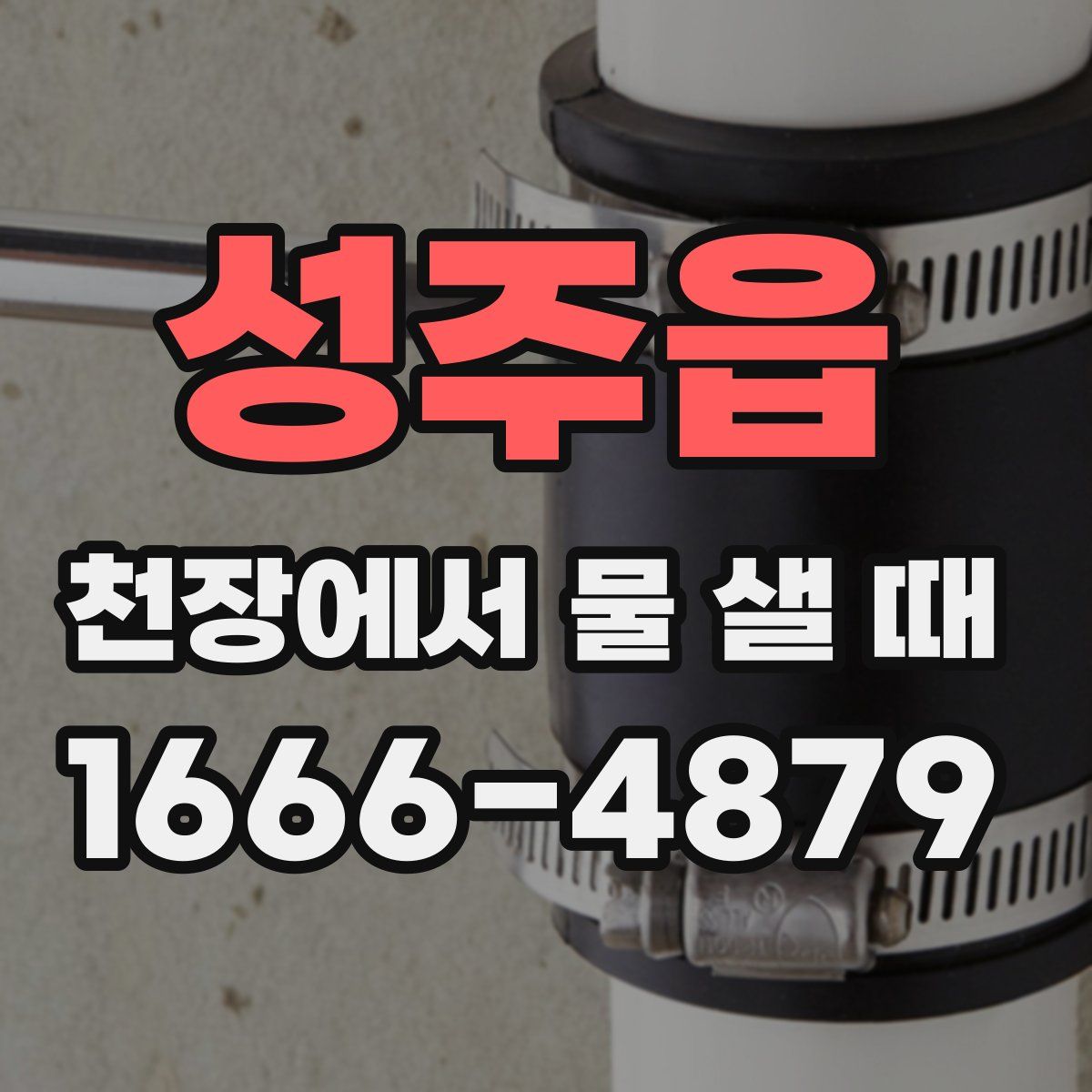 성주읍 천장에서 물 샐 때