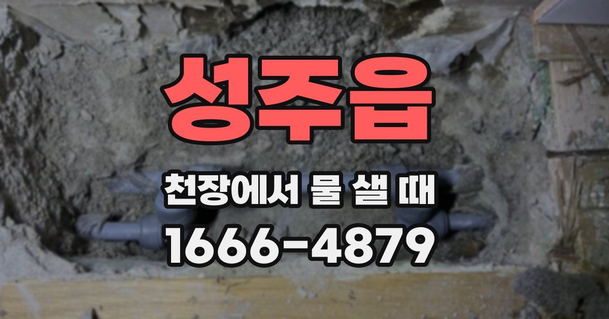 성주읍 천장에서 물 샐 때
