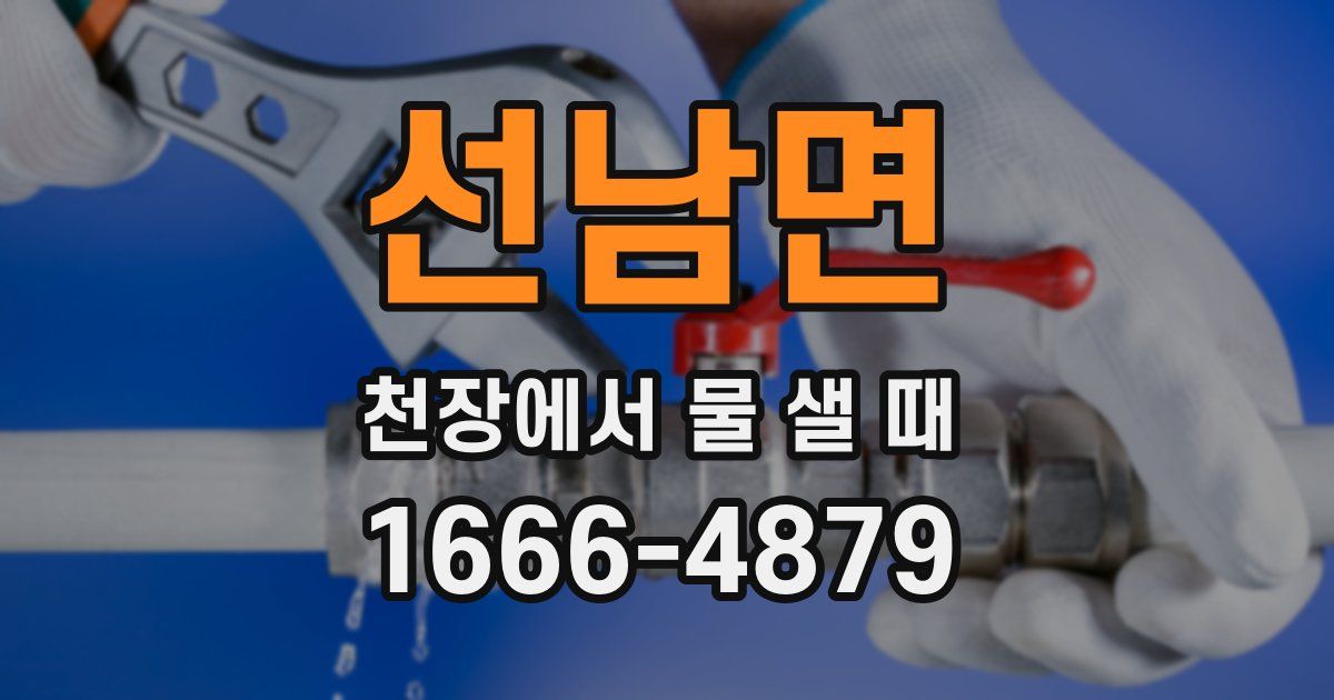 선남면 천장에서 물 샐 때