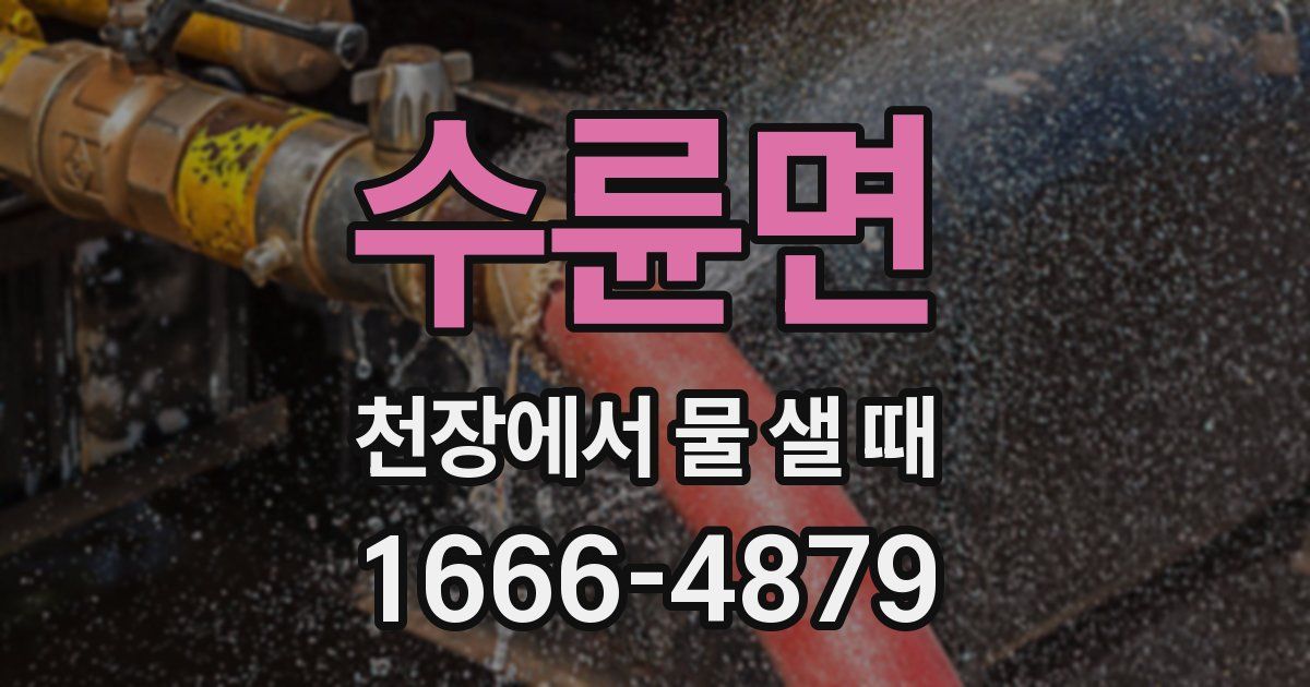 수륜면 천장에서 물 샐 때