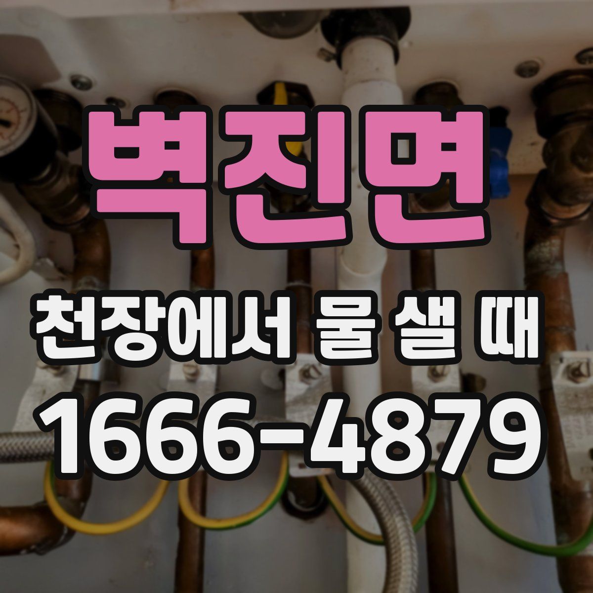 벽진면 천장에서 물 샐 때