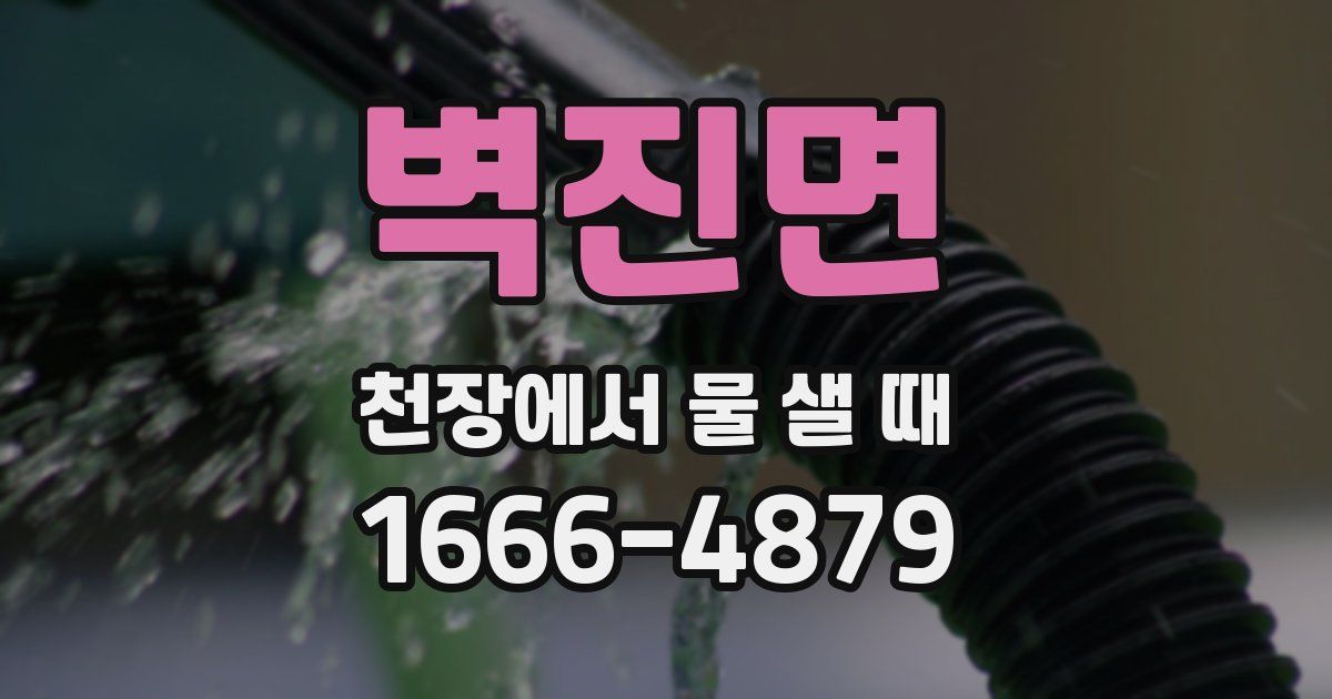 벽진면 천장에서 물 샐 때