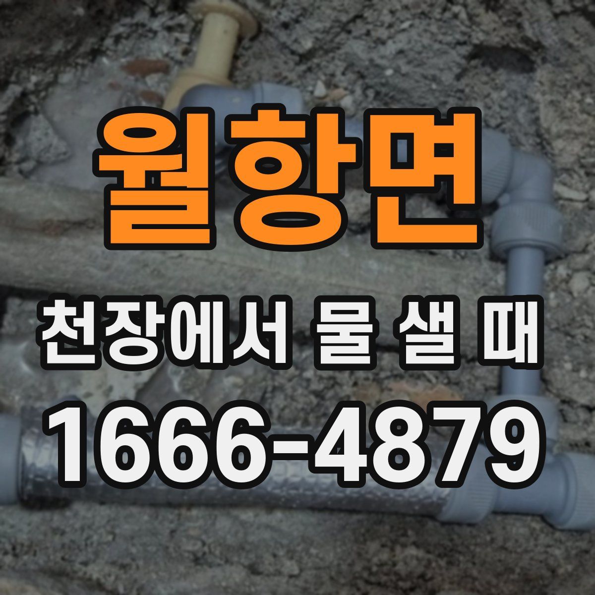 월항면 천장에서 물 샐 때