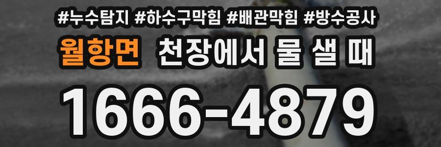 월항면 천장에서 물 샐 때