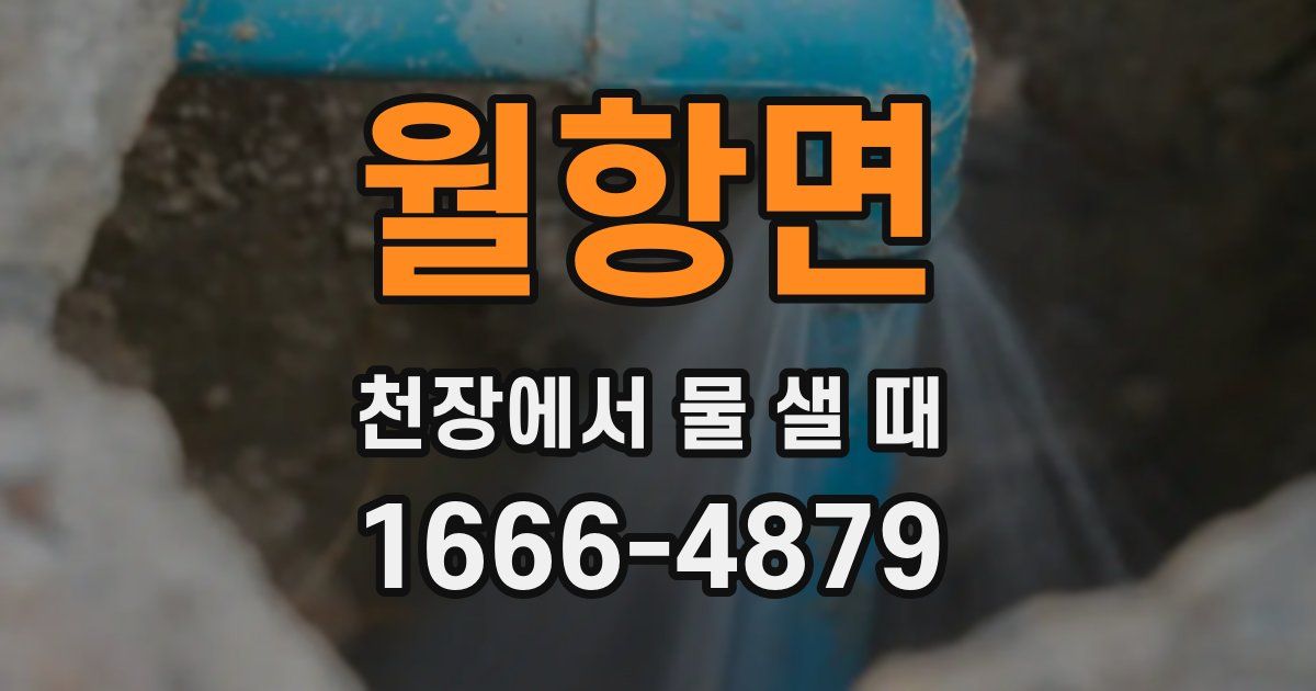 월항면 천장에서 물 샐 때