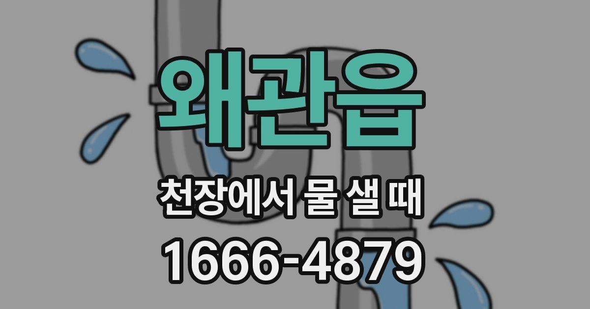 왜관읍 천장에서 물 샐 때