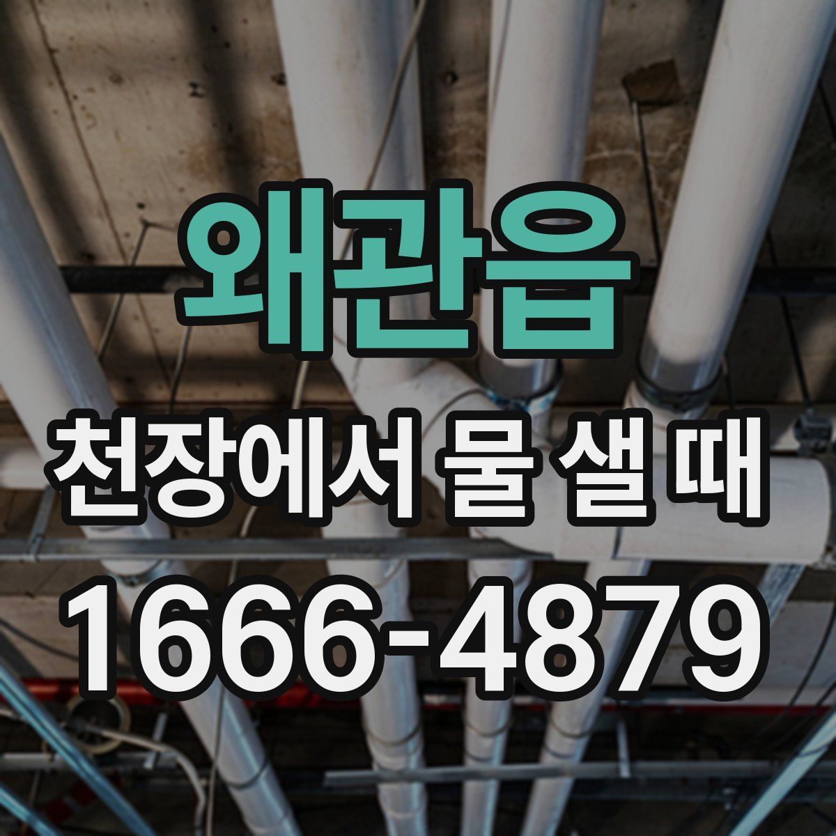 왜관읍 천장에서 물 샐 때