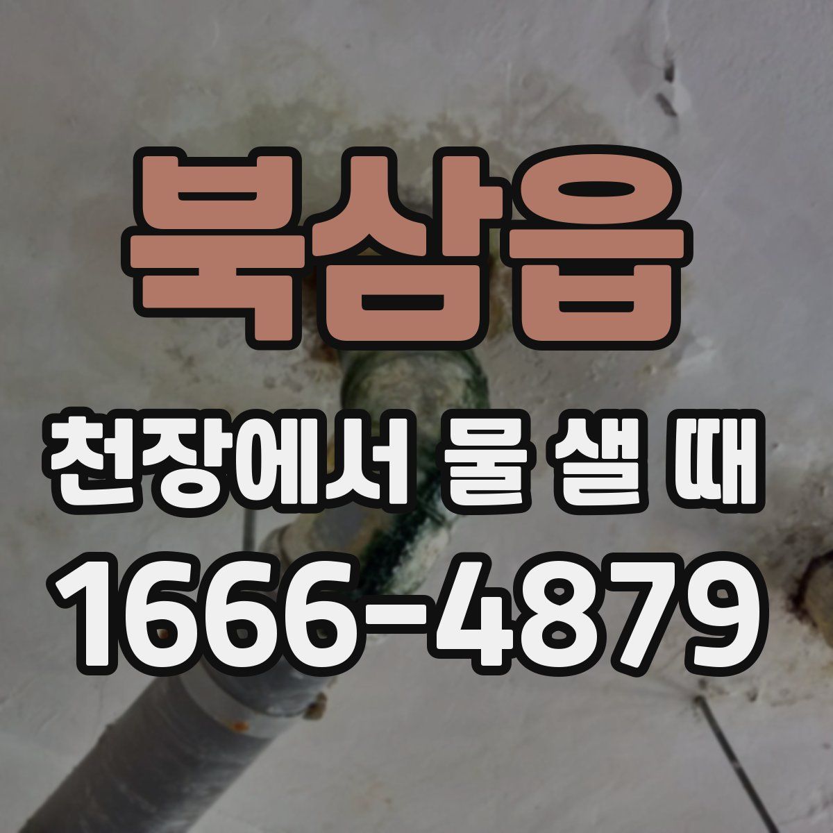 북삼읍 천장에서 물 샐 때