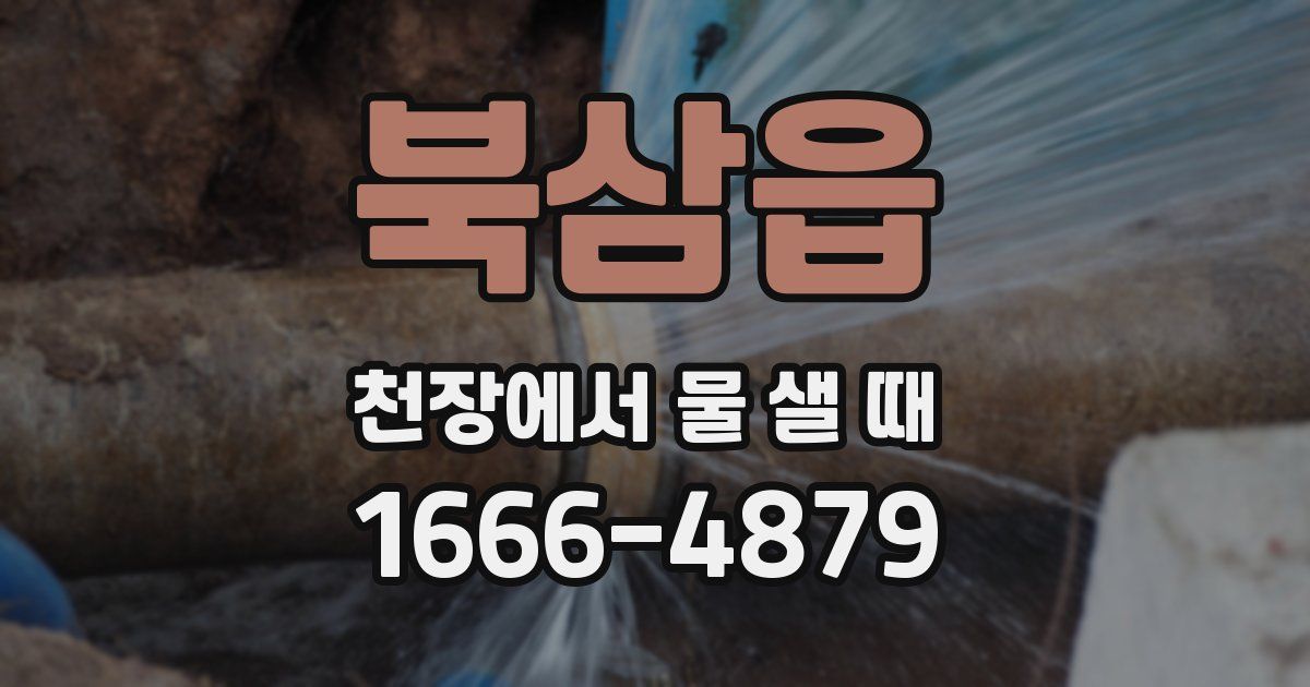 북삼읍 천장에서 물 샐 때