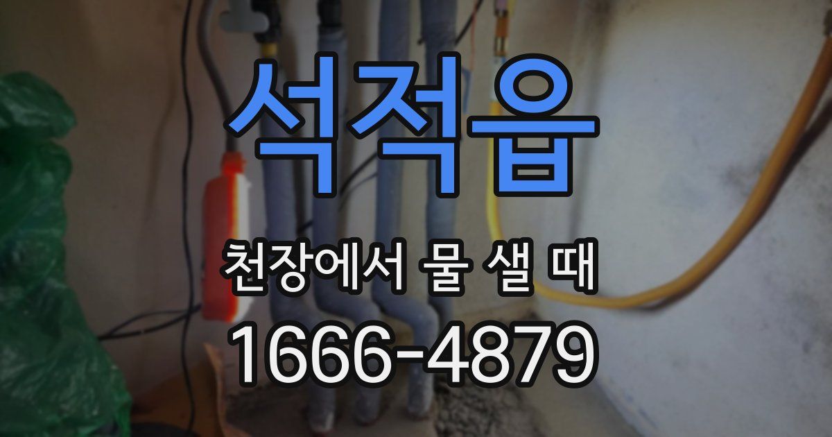 석적읍 천장에서 물 샐 때