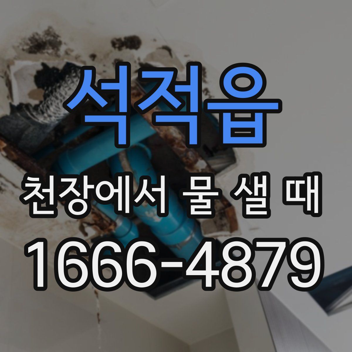 석적읍 천장에서 물 샐 때