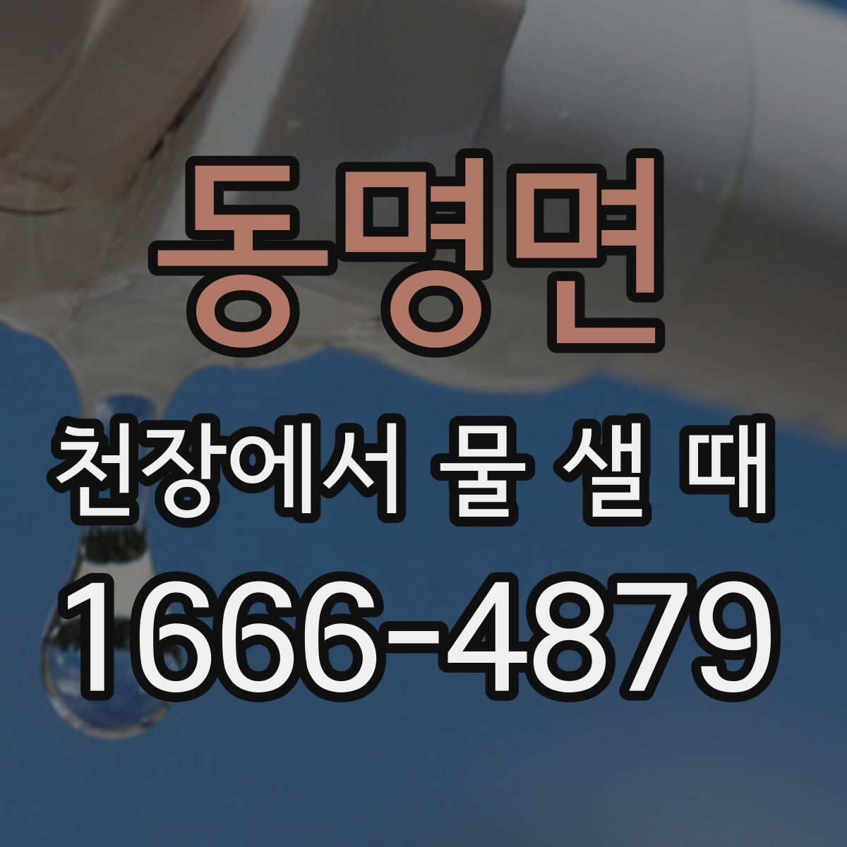 동명면 천장에서 물 샐 때