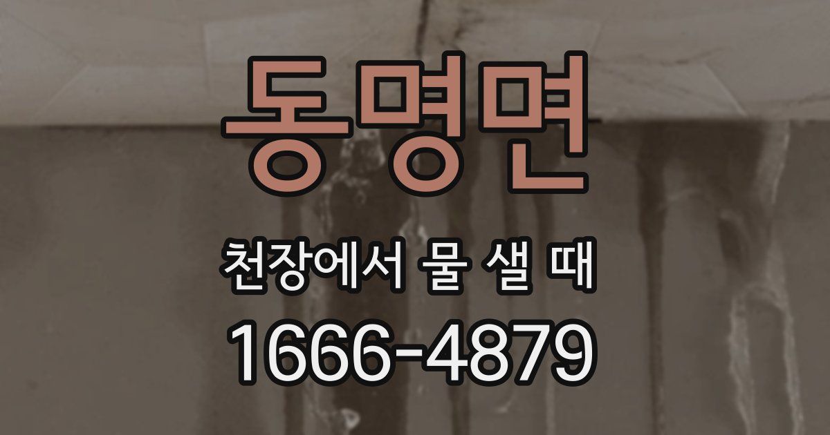 동명면 천장에서 물 샐 때