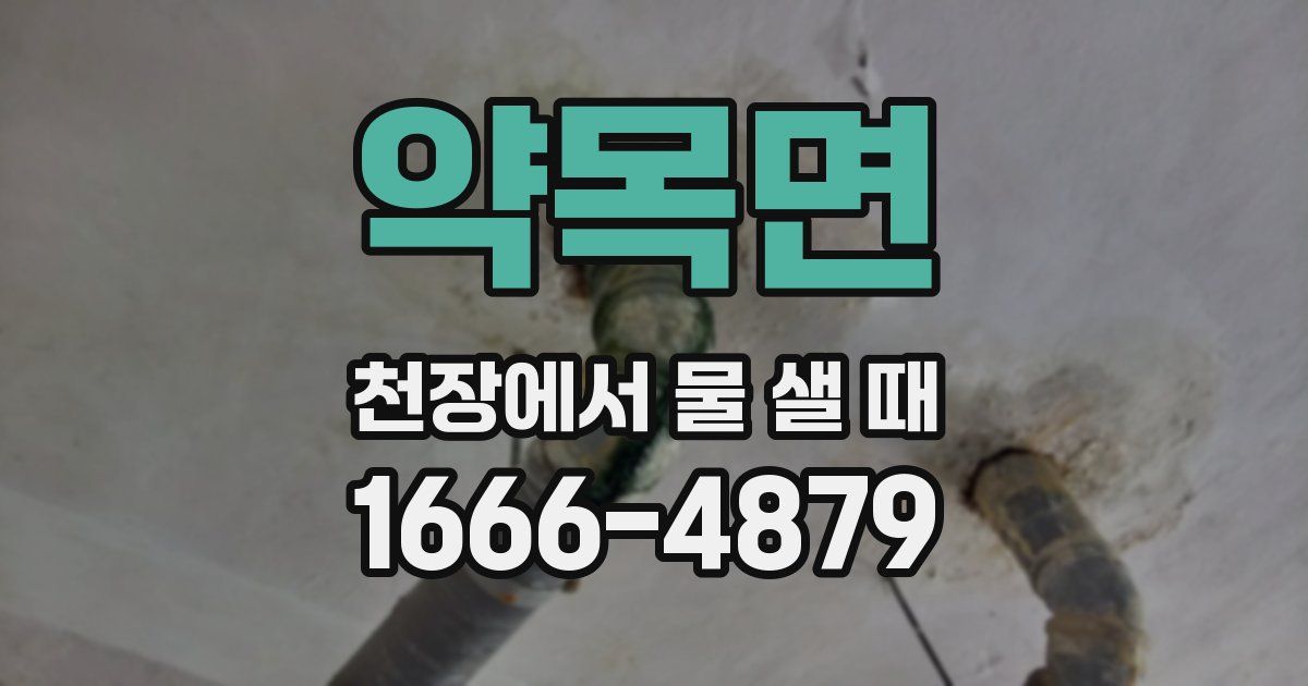 약목면 천장에서 물 샐 때