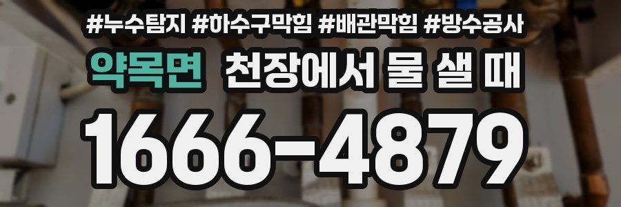 약목면 천장에서 물 샐 때