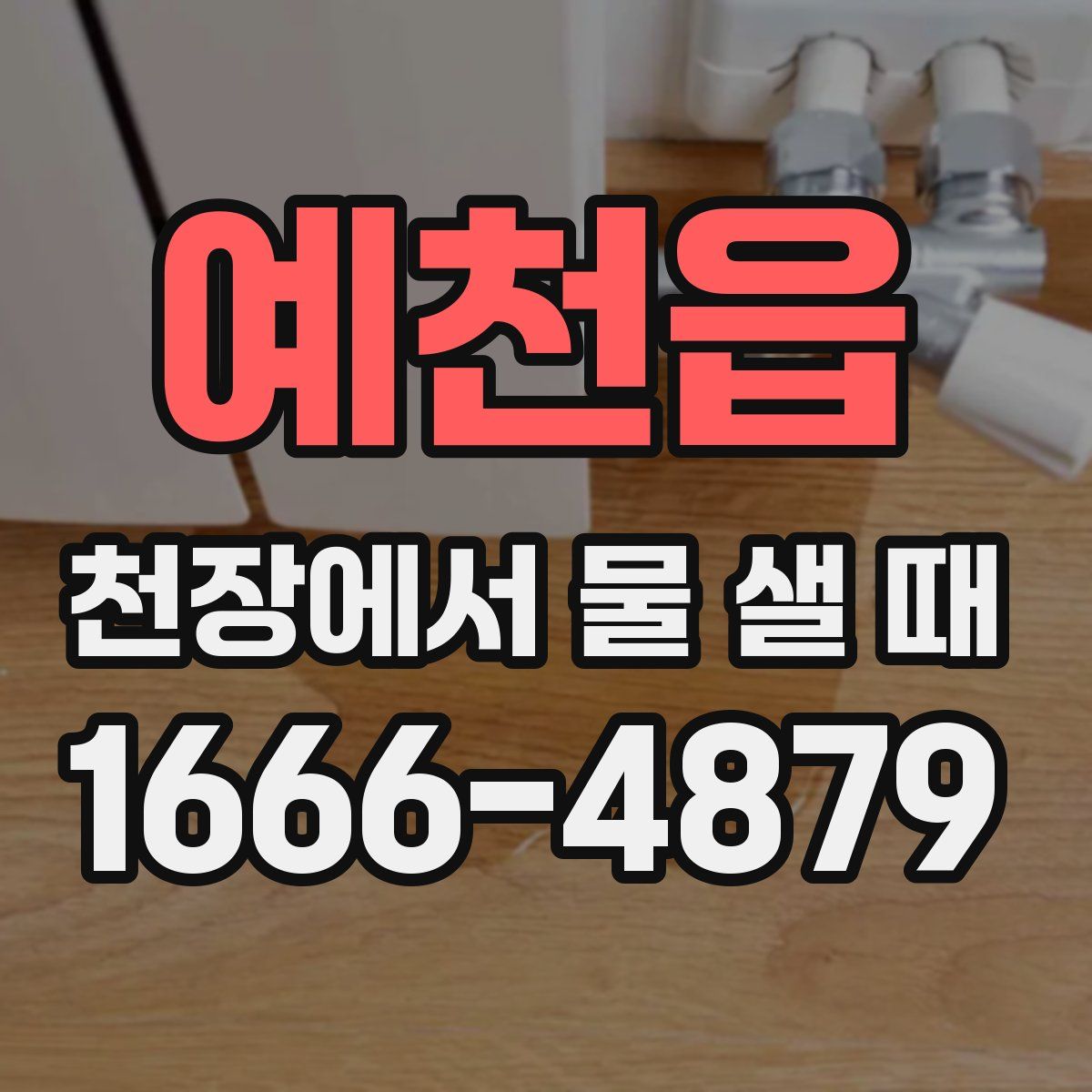예천읍 천장에서 물 샐 때