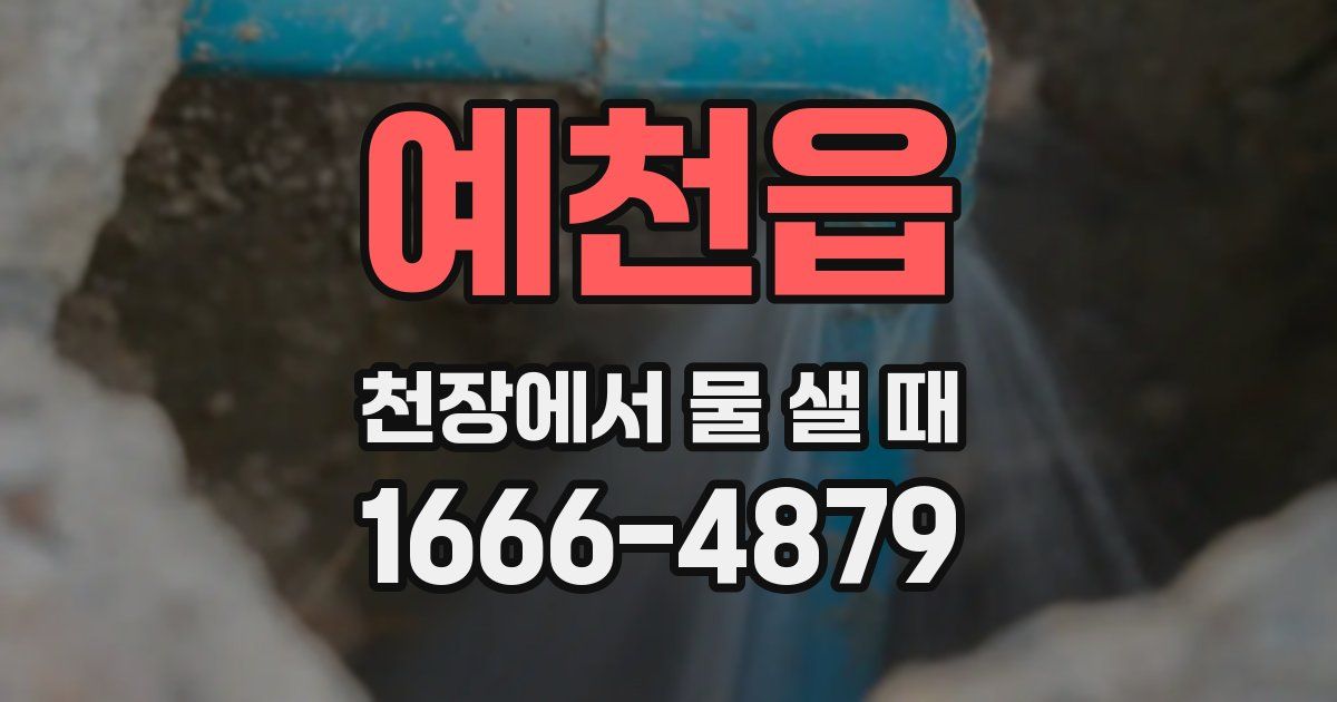예천읍 천장에서 물 샐 때