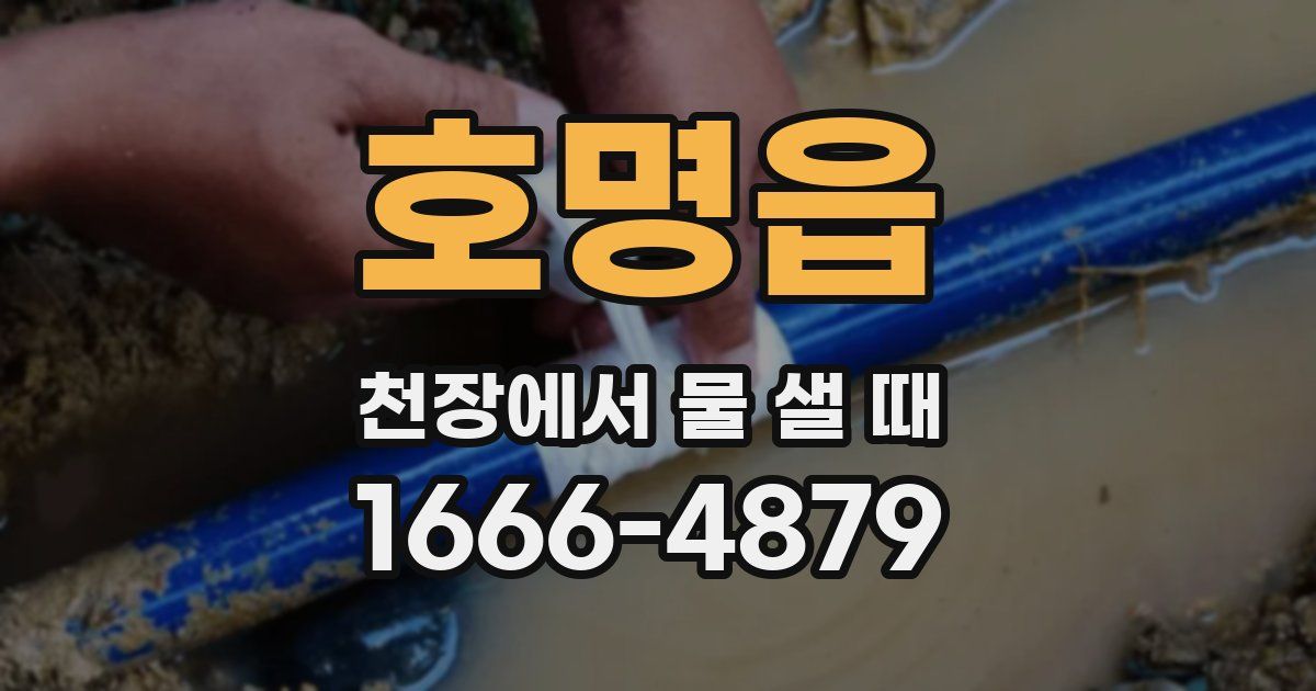 호명읍 천장에서 물 샐 때