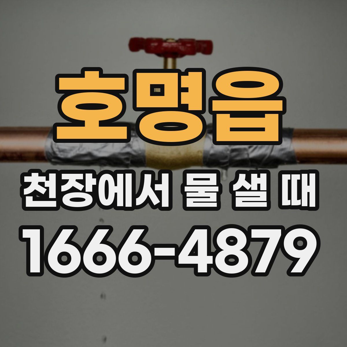 호명읍 천장에서 물 샐 때