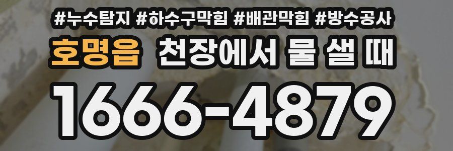 호명읍 천장에서 물 샐 때