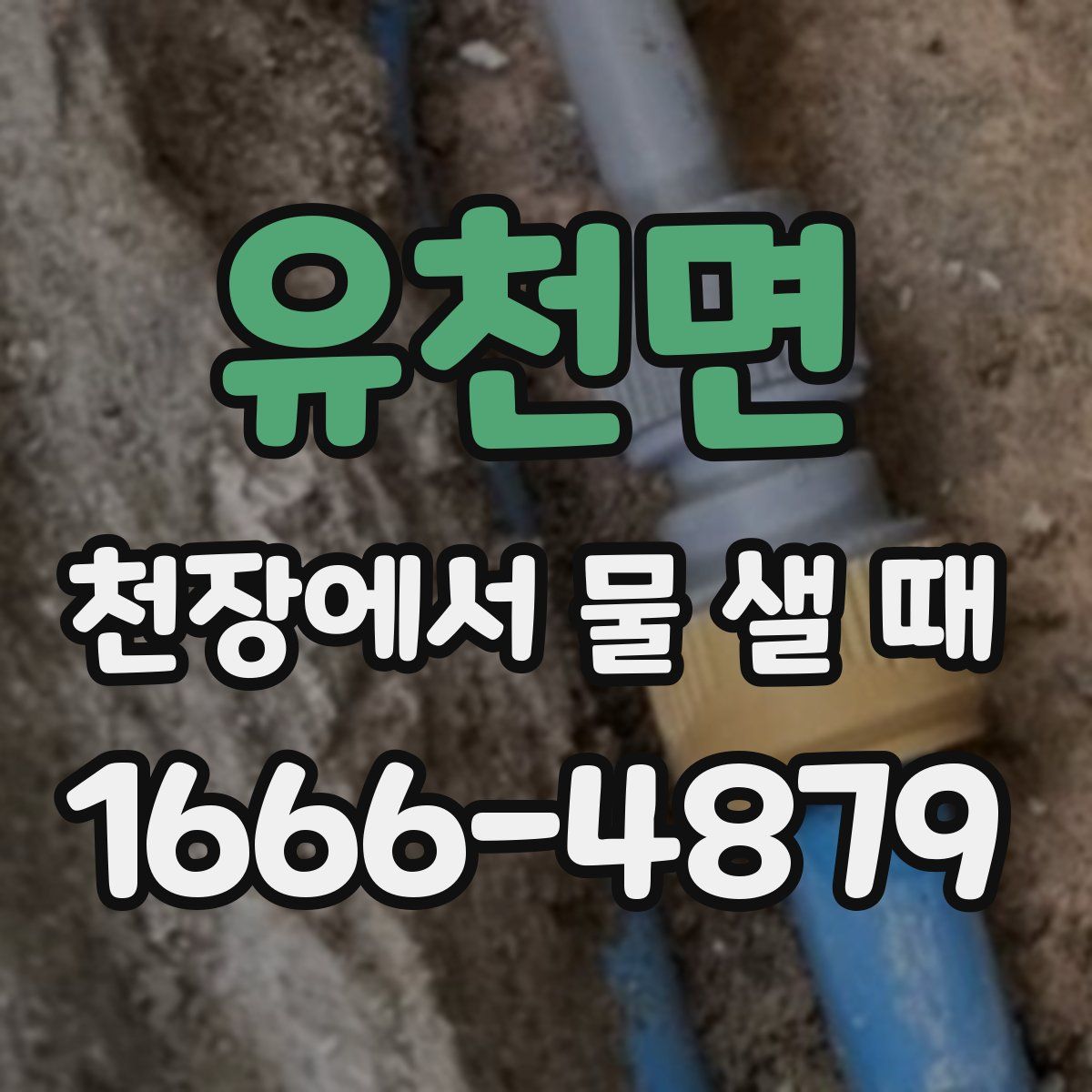 유천면 천장에서 물 샐 때