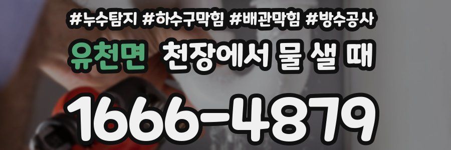 유천면 천장에서 물 샐 때