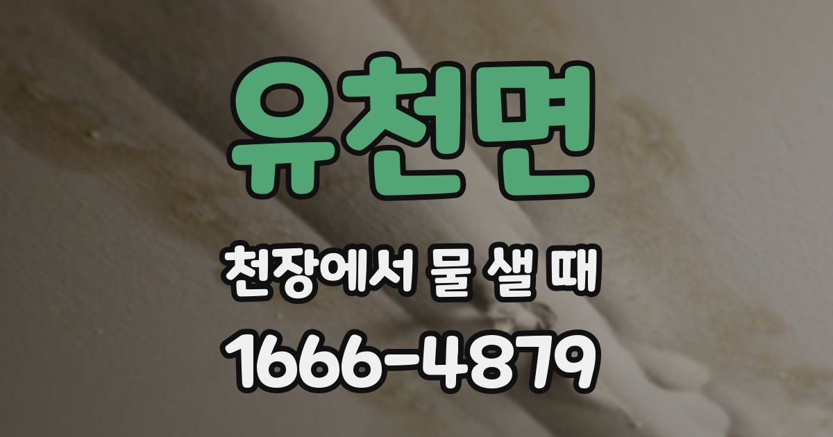 유천면 천장에서 물 샐 때