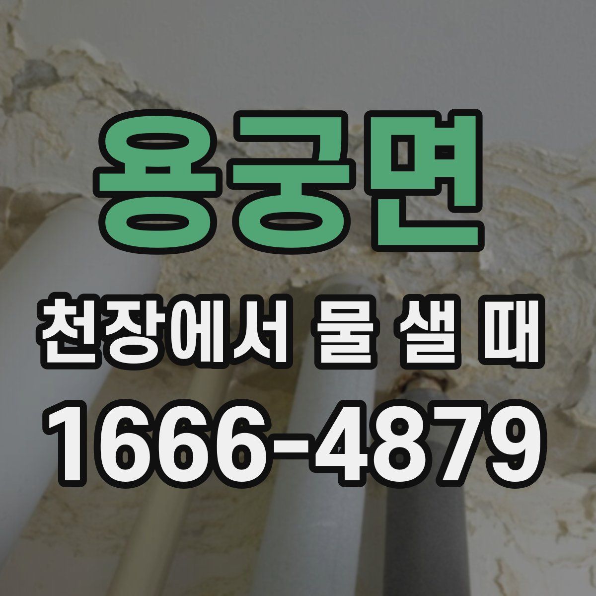 용궁면 천장에서 물 샐 때