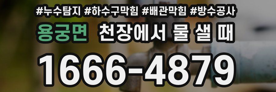 용궁면 천장에서 물 샐 때