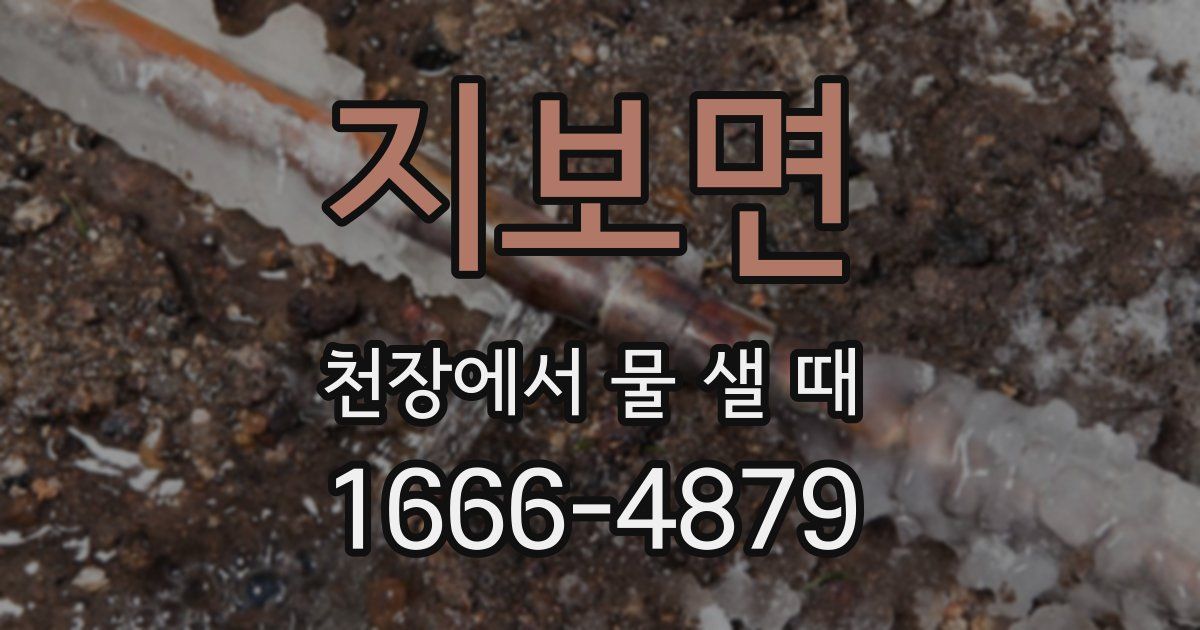 지보면 천장에서 물 샐 때