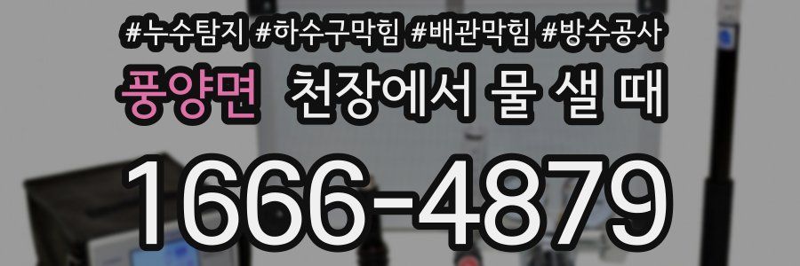 풍양면 천장에서 물 샐 때