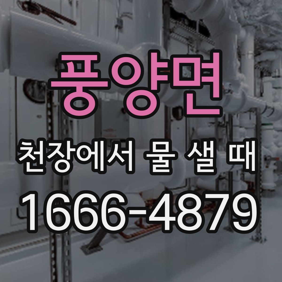 풍양면 천장에서 물 샐 때
