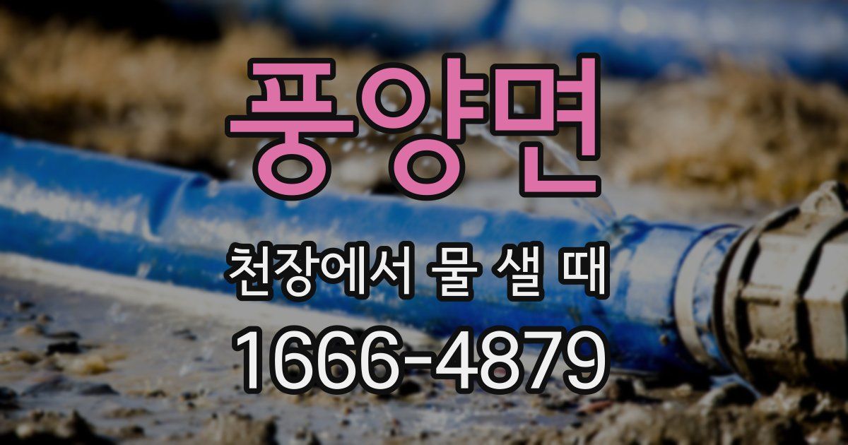 풍양면 천장에서 물 샐 때