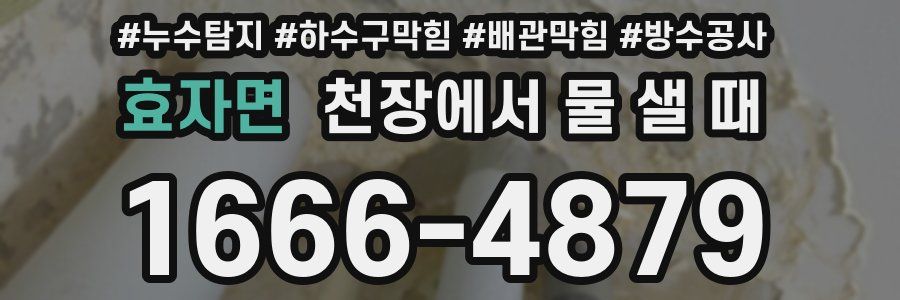 효자면 천장에서 물 샐 때