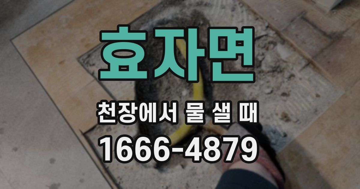 효자면 천장에서 물 샐 때