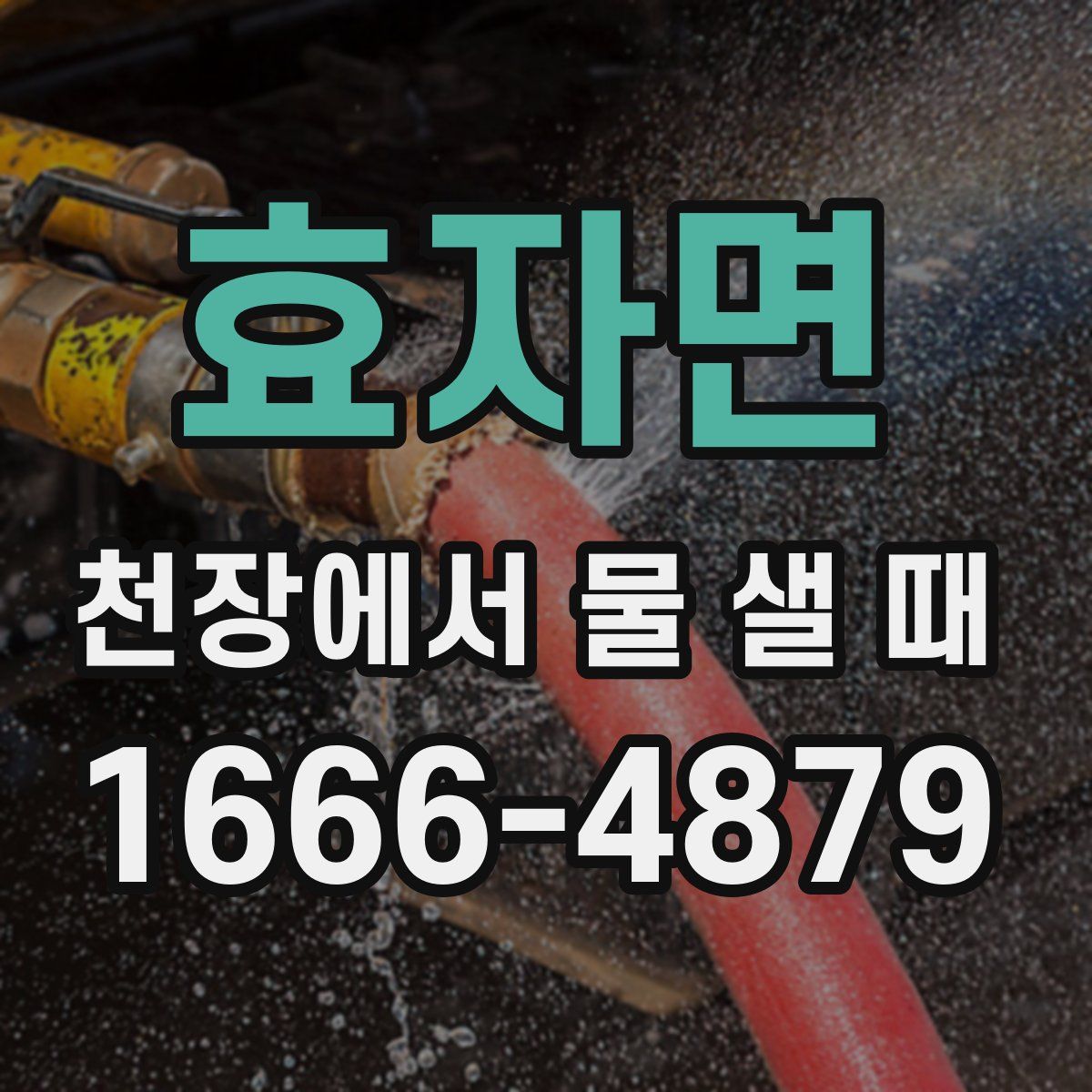 효자면 천장에서 물 샐 때