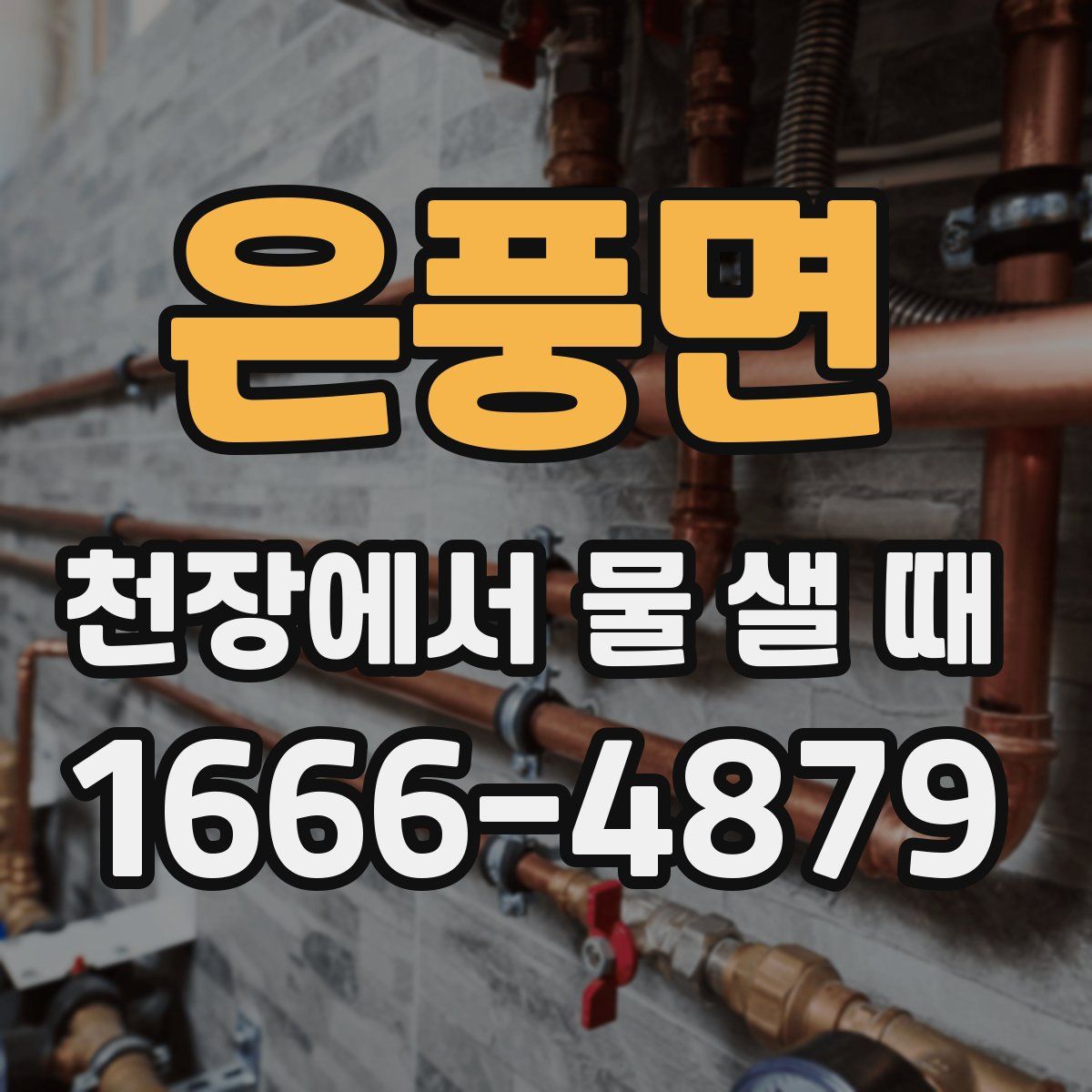 은풍면 천장에서 물 샐 때