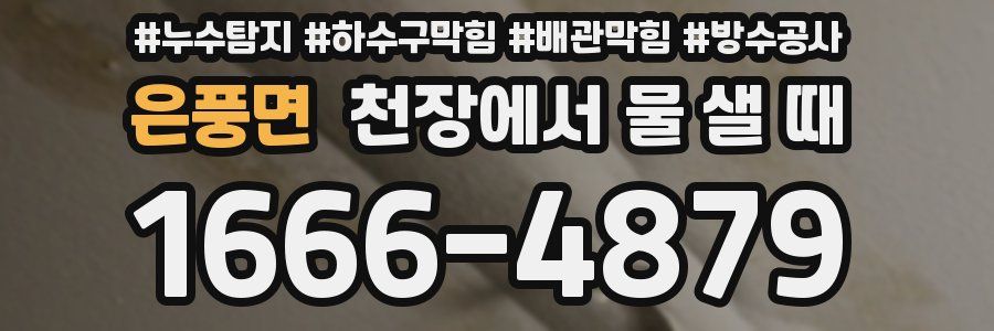 은풍면 천장에서 물 샐 때