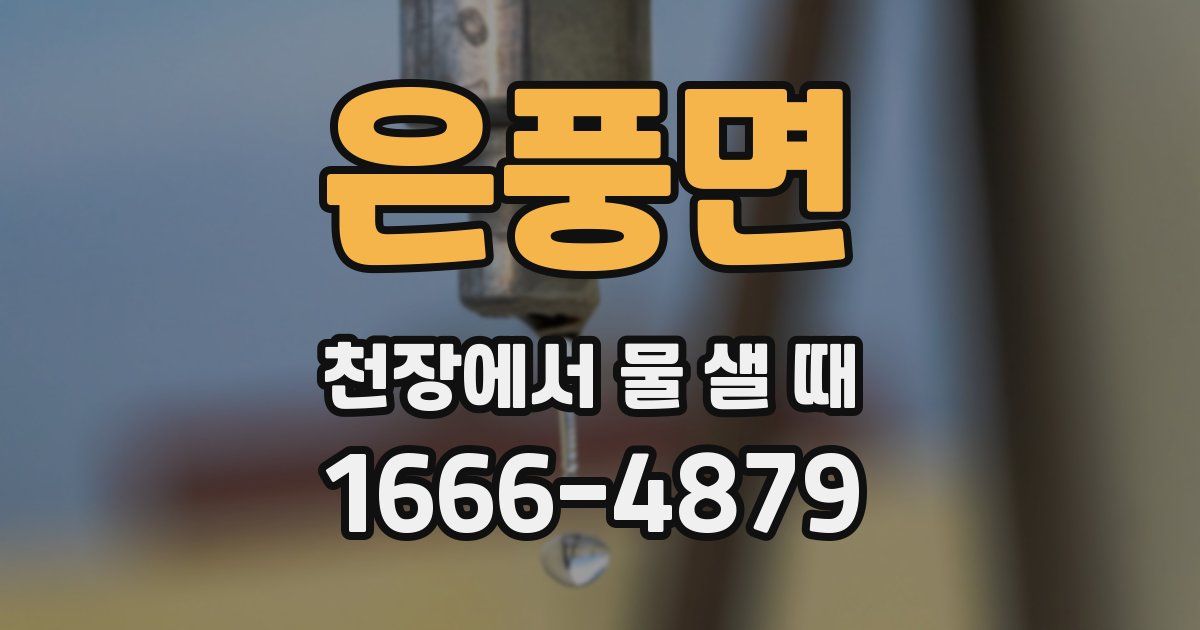 은풍면 천장에서 물 샐 때