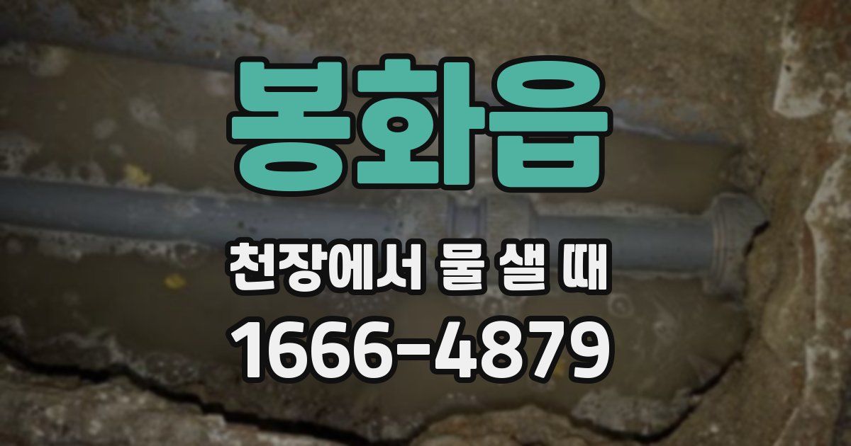 봉화읍 천장에서 물 샐 때